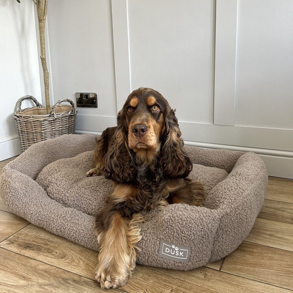 Teddy Basket Pet Bed - Taupe Teddy Basket Pet Bed - Taupe