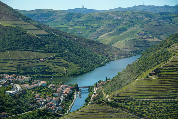 Picturesque Douro Valley Vineyards River and Portuguese Village Scenic Landscape