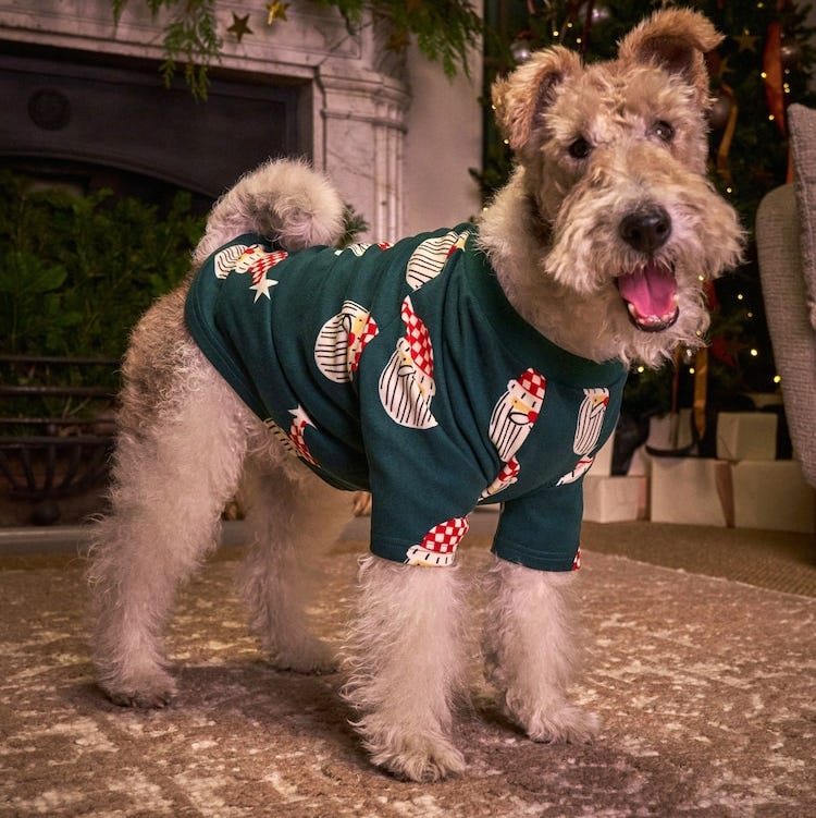 Matching Family Christmas Matching Family Christmas