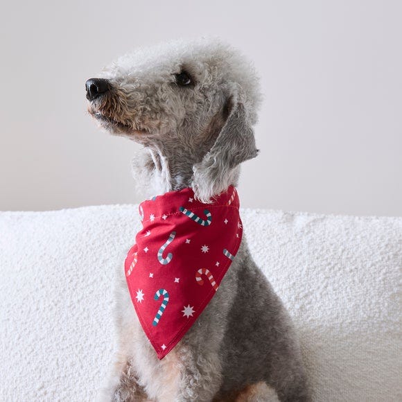 Candy Cane Bandana Candy Cane Bandana