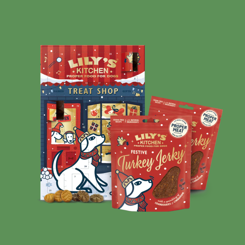 Countdown to Christmas with Your Dog Countdown to Christmas with Your Dog