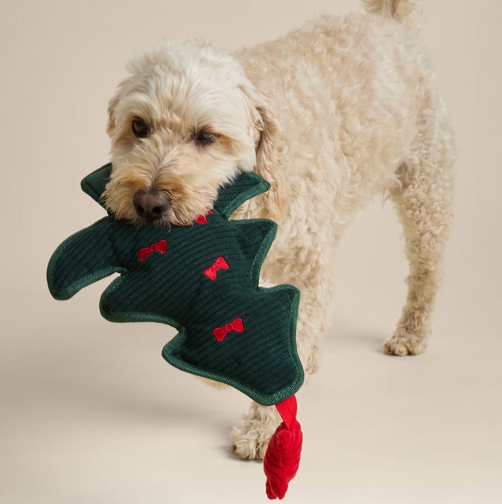 Christmas Tree Dog Toy Christmas Tree Dog Toy