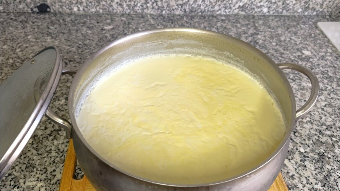 Yoğurt Nasıl Yapılır Mayalanır Detaylı Ayrıntılı Evde Yoğurt Yapımı Tarifi Nefis Yemek Tarifleri