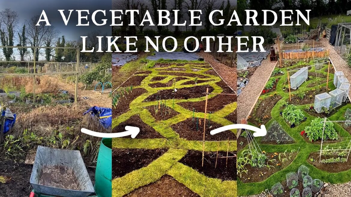 You Haven't Seen a Vegetable Garden Like This!