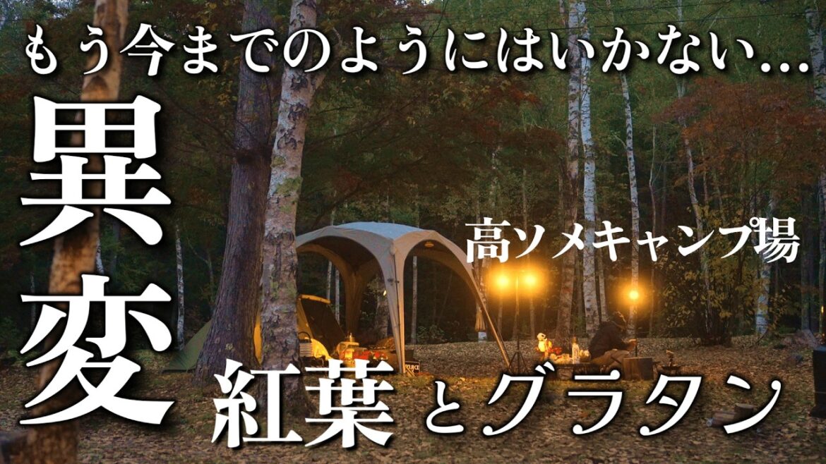 キャンプ 高ソメキャンプ場紅葉キャンプ コロナストーブ sz-f32 冬キャンプの必需品 キャンプ飯はオーブン料理 シーフードグラタン キャンプ寒さ対策 長野県絶景キャンプ場