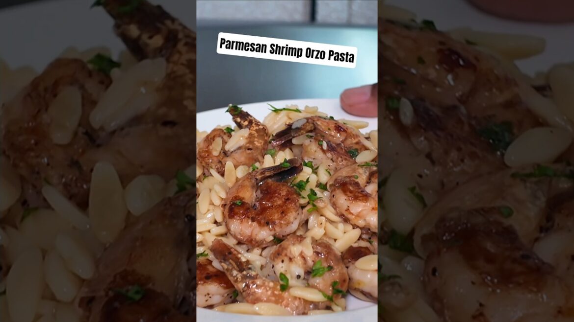 Easy Parmesan Shrimp Orzo Recipe Kids Will Love!