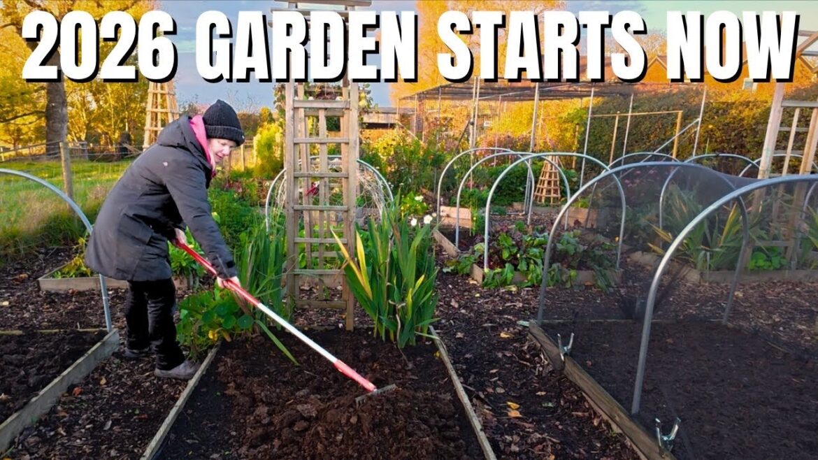 Garlic Planting & Essential Winter Prep for Vegetable Garden