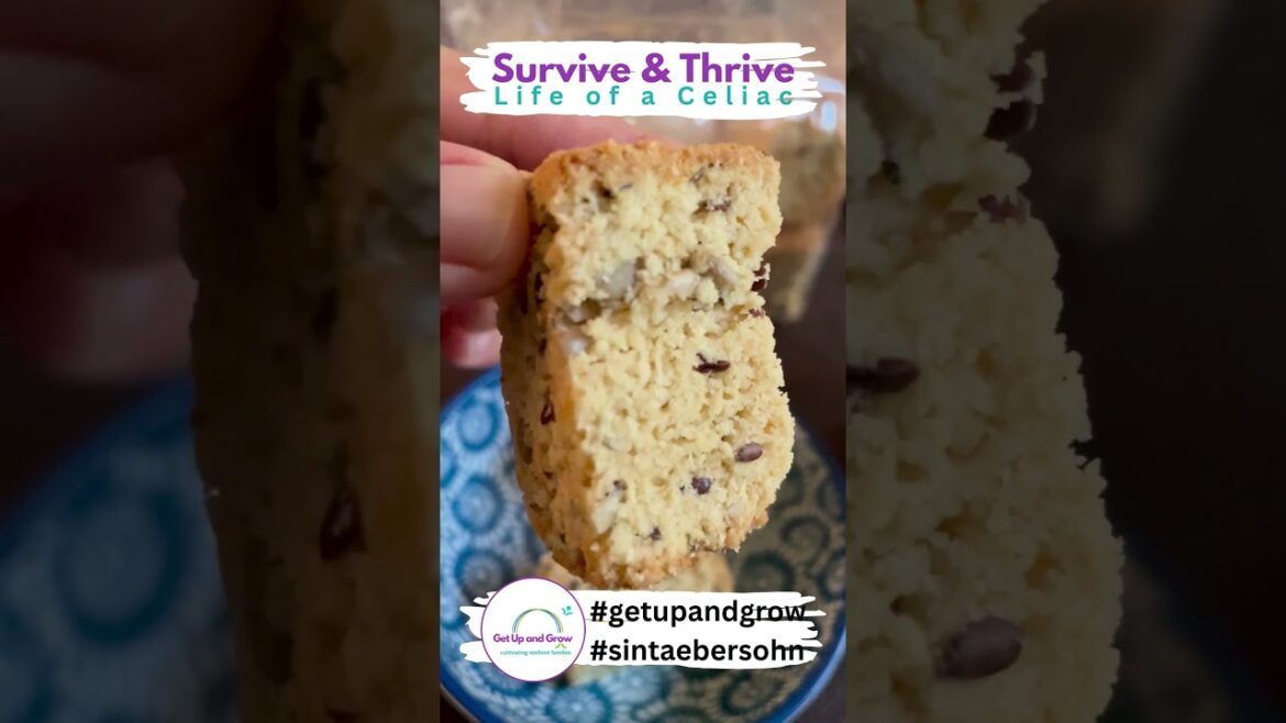 Survive & Thrive: Life of a Celiac: The Best Gluten free Rusks