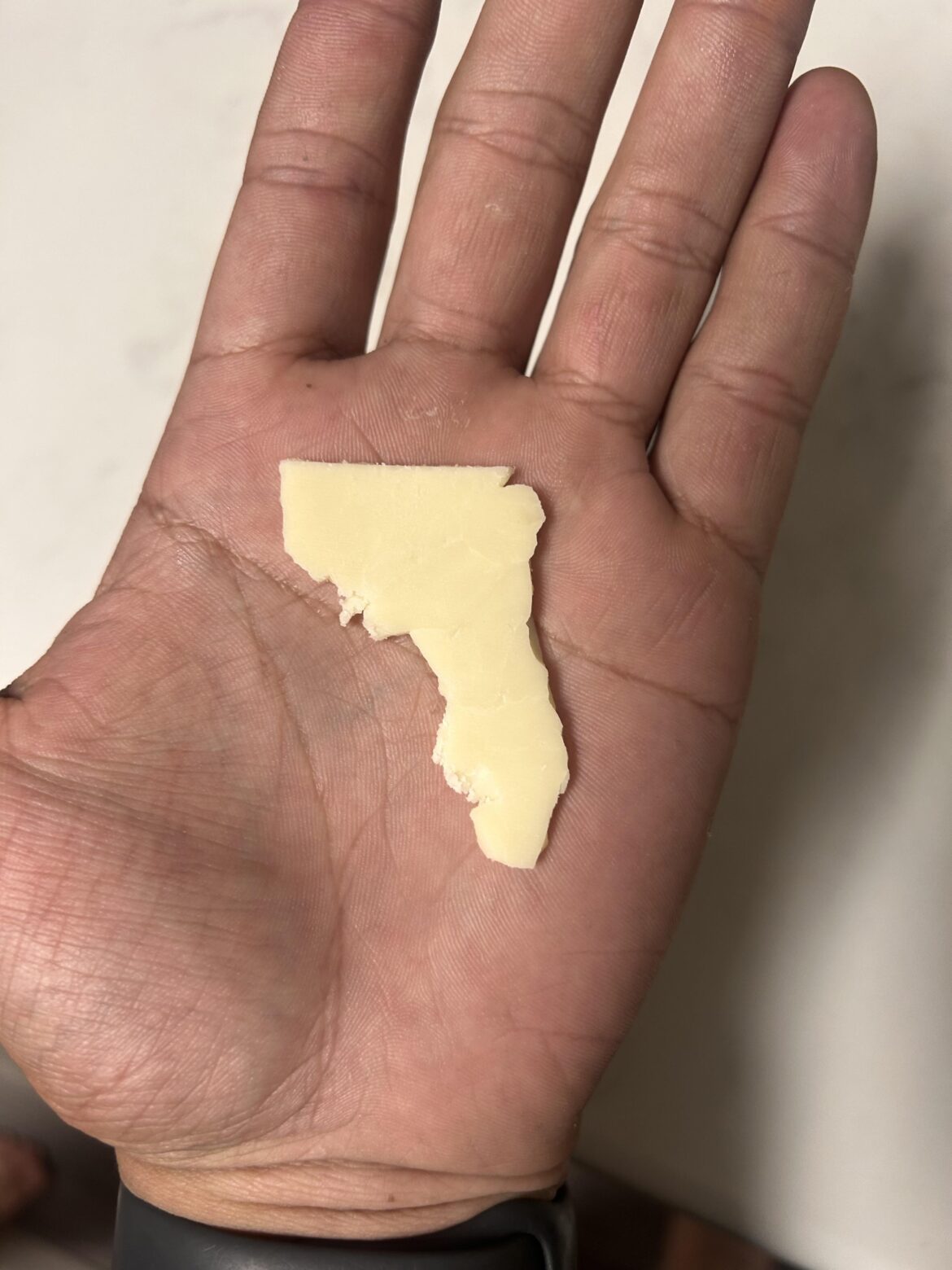 My wife split a piece of cheese and it came out looking like Florida