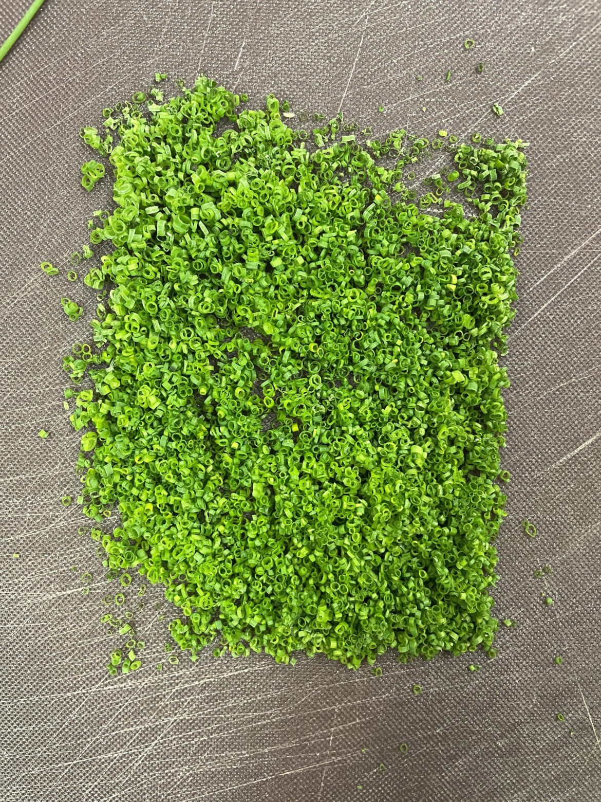 Cutting a cup of chives almost every day until this Reddit says they’re perfect. Day 29