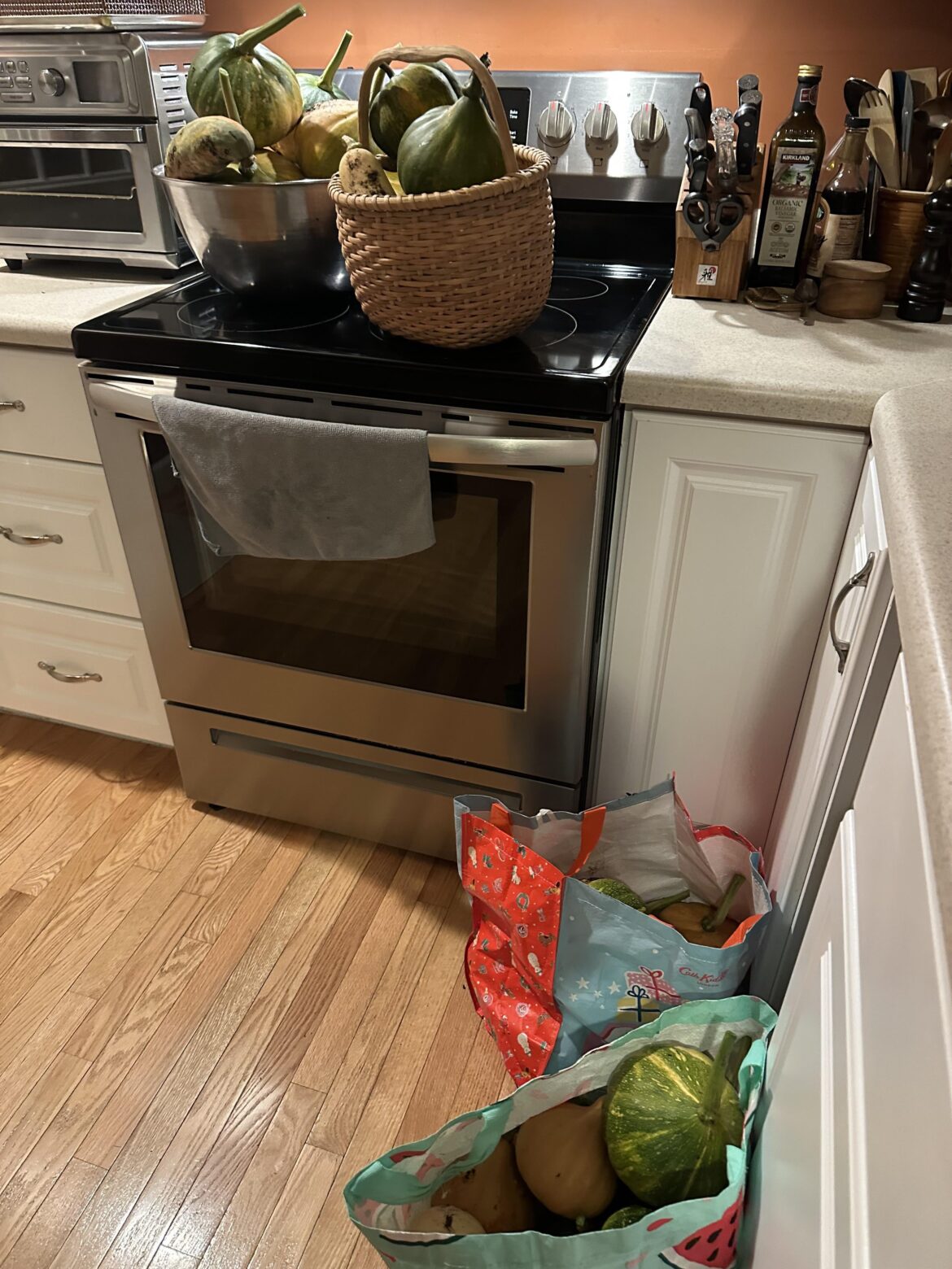 Winter squash harvest in progress