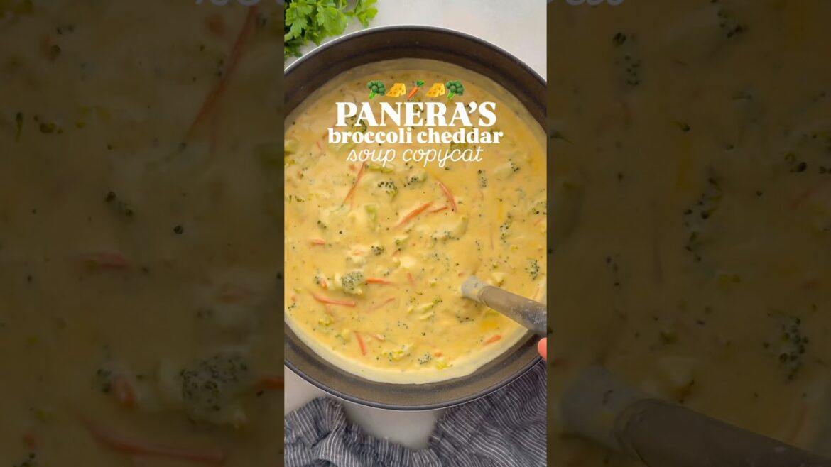 Panera’s Broccoli Cheddar Soup: Click the link in my bio & then select the photo for the recipe ❤️ Panera’s Broccoli Cheddar Soup: Click the link in my bio & then select the photo for the recipe ❤️