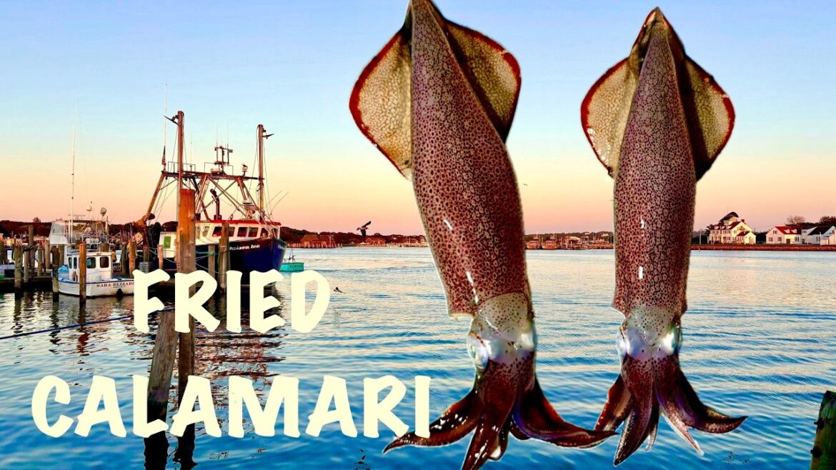 From Ocean to Plate | Catching Squid + Crispy Calamari Recipe