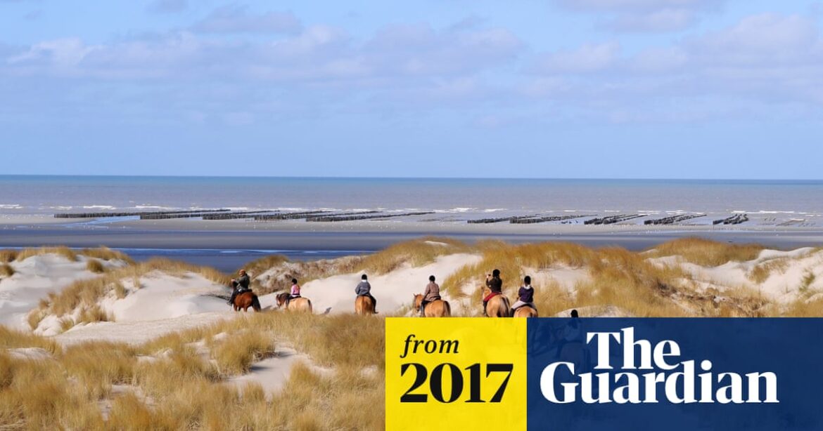 Holiday guide to Somme, France: what to see plus the best restaurants, bars and hotels | France holidays Holiday guide to Somme, France: what to see plus the best restaurants, bars and hotels | France holidays