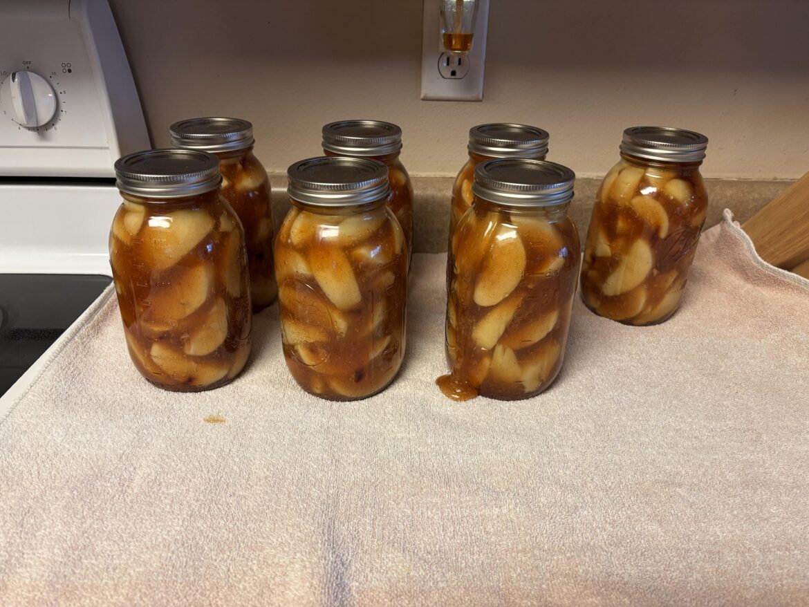 Water bath canning apple pie filling and siphoning occurred Water bath canning apple pie filling and siphoning occurred