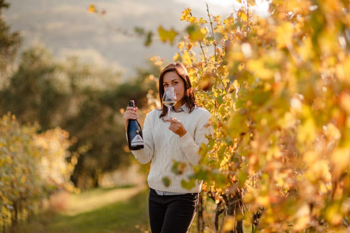 How Orange Blossom—Moscato Fior D’Arancio— Blooms In The Colli Euganei How Orange Blossom—Moscato Fior D’Arancio— Blooms In The Colli Euganei