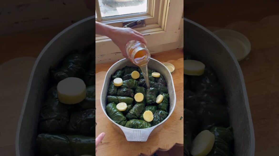Dolmades Wrapped in Chard Leaves