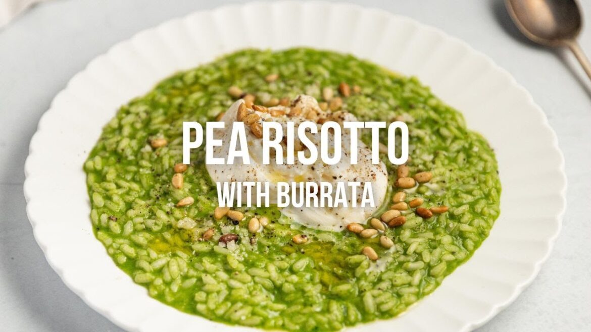 Pea Risotto with Burrata