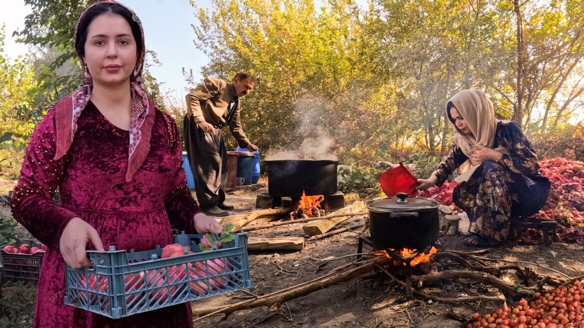 KURDISTAN Village Secrets! How Beautiful Girls Make Pomegranate Molasses