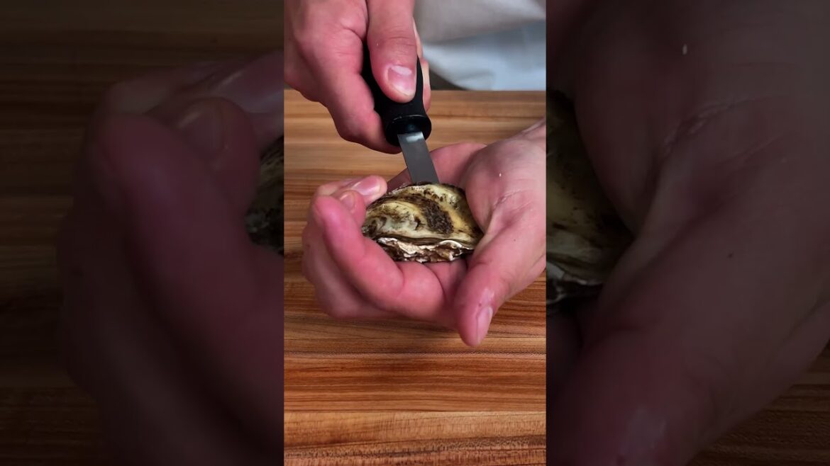 How To Shuck Oysters How To Shuck Oysters