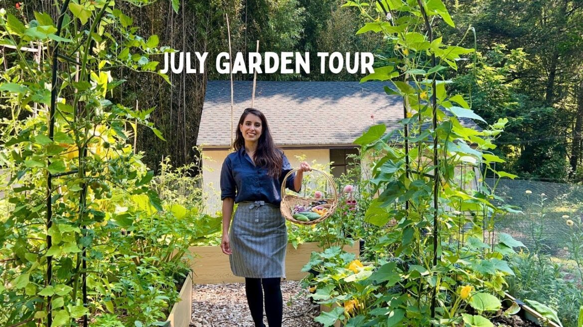 July Vegetable Garden Tour | First Season Growing in a New Garden