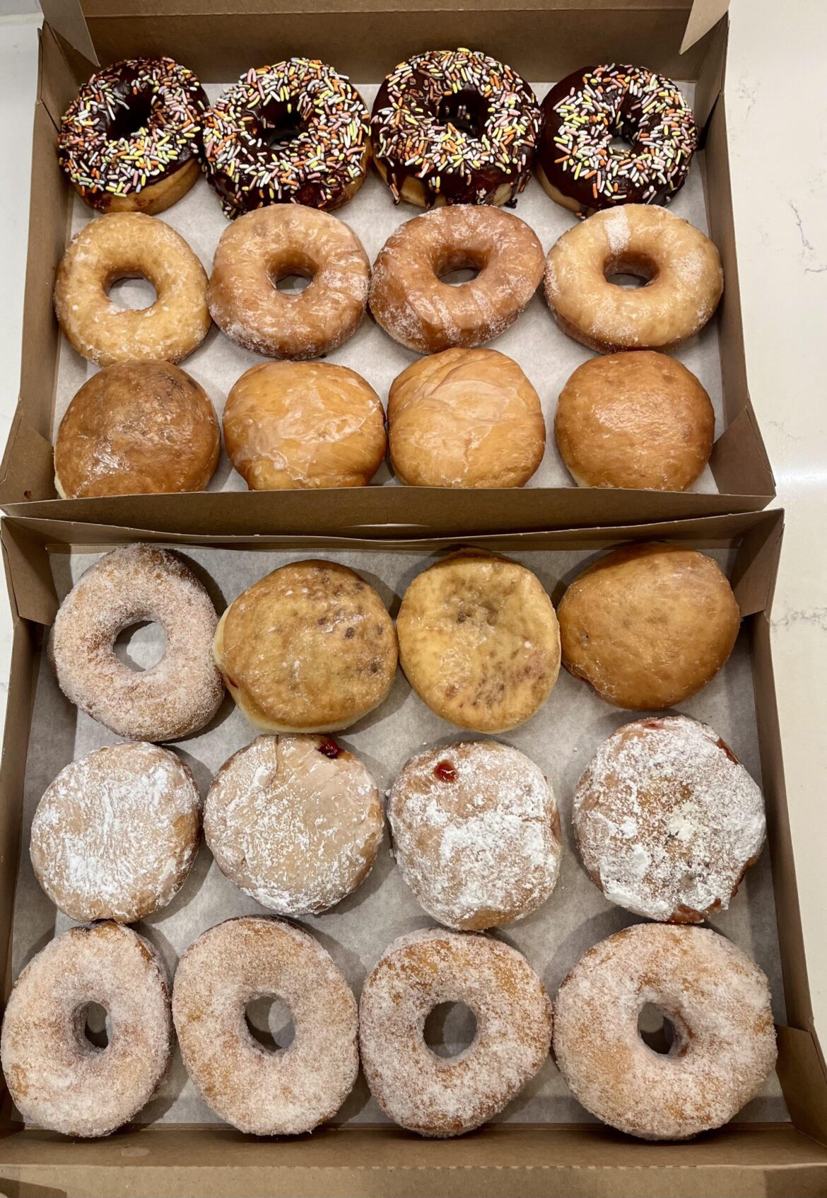 homemade Vegan Donuts.