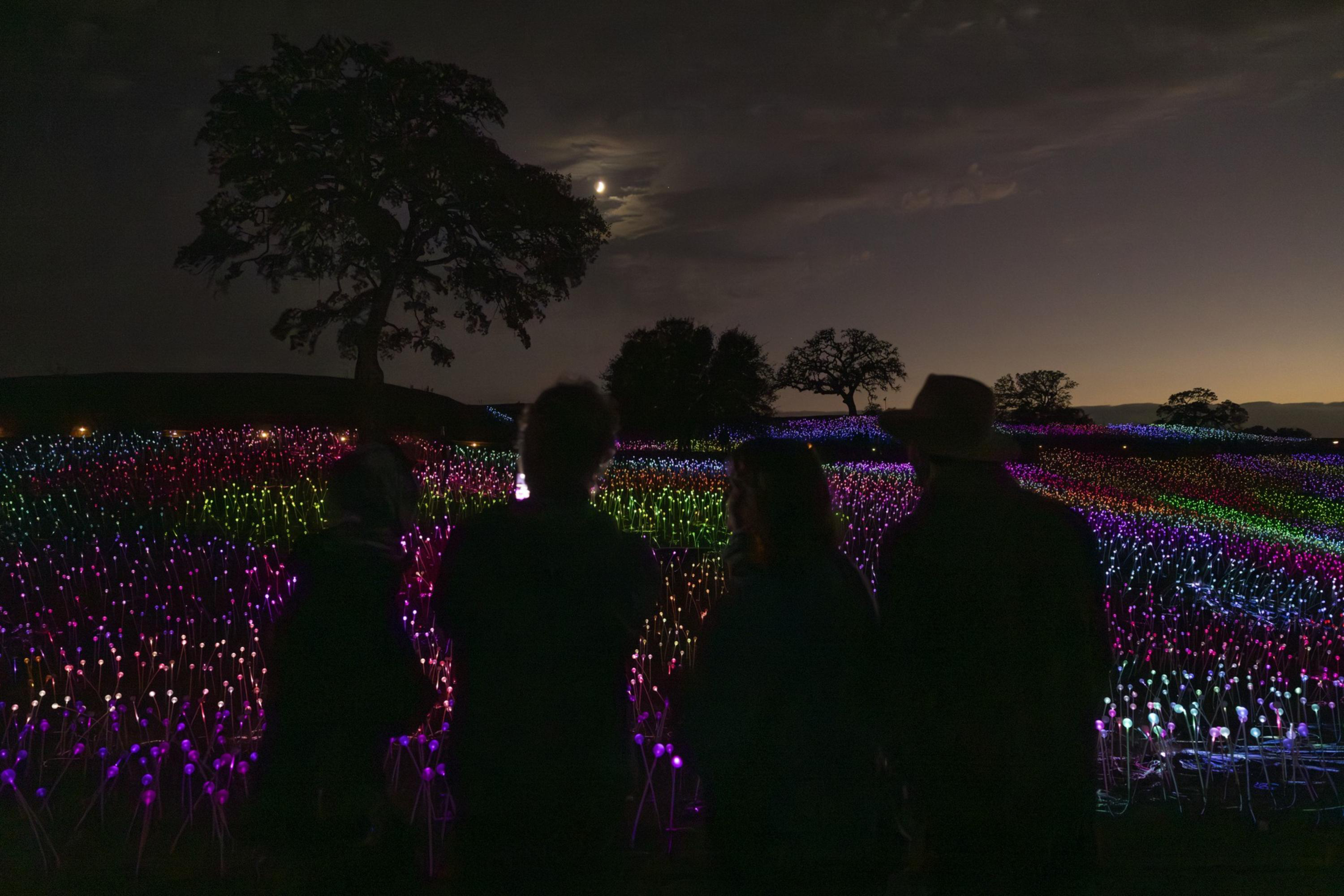 Four people stand silhouetted against a field of multicolored glowing lights at night, with a few trees and a moonlit cloudy sky in the background.