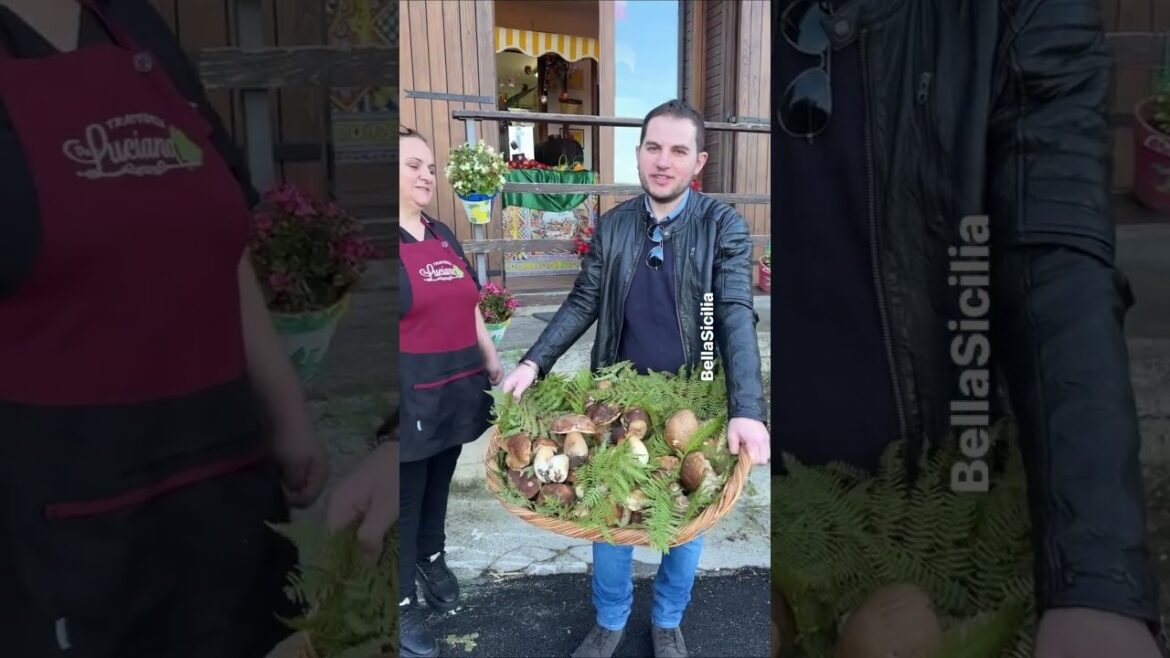 Funghi porcini appena raccolti #funghi #porcini #food #cibodoc #bellasicilia #vivoinsicilia Funghi porcini appena raccolti #funghi #porcini #food #cibodoc #bellasicilia #vivoinsicilia