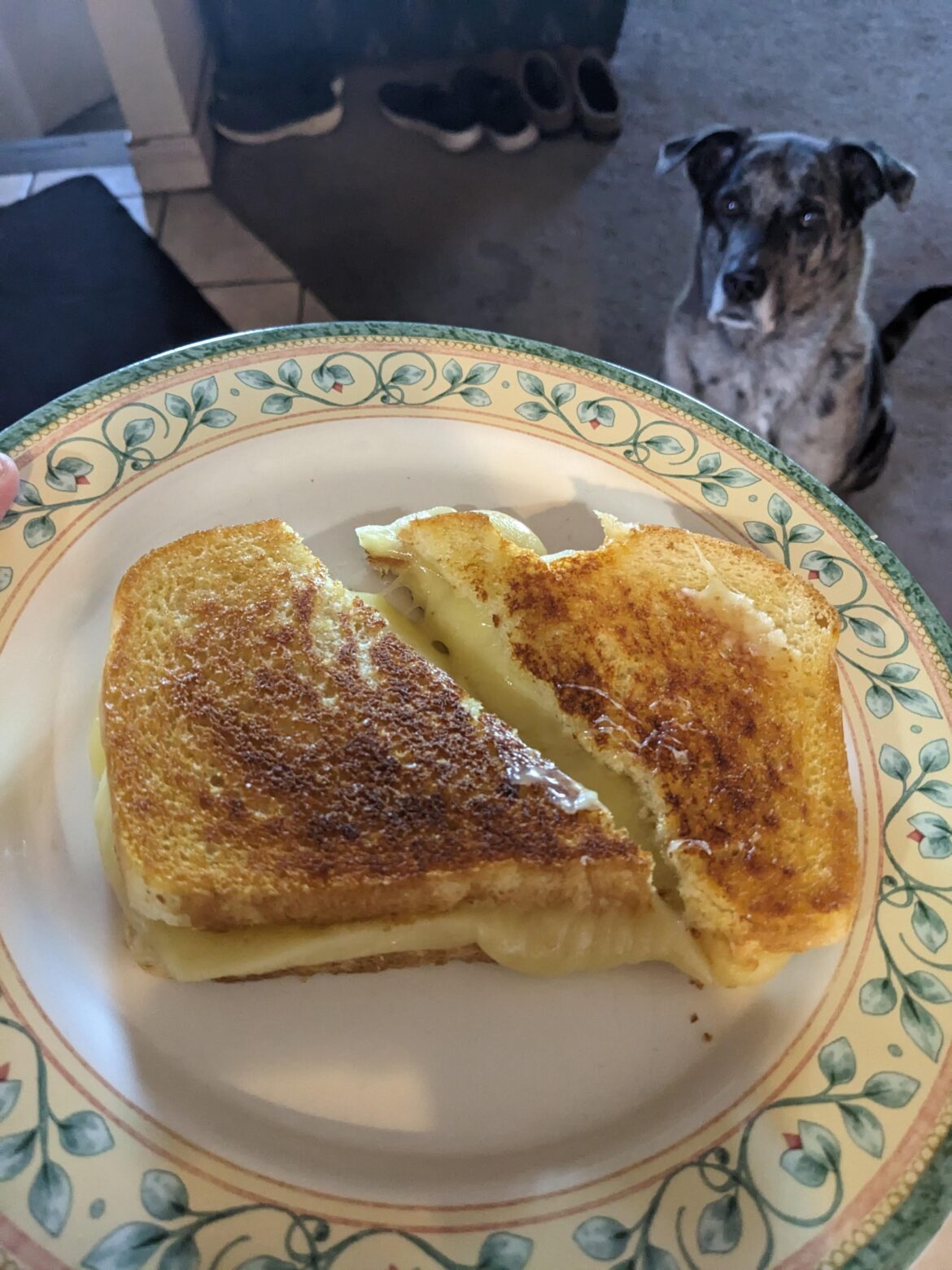 White Cheddar on Sourdough