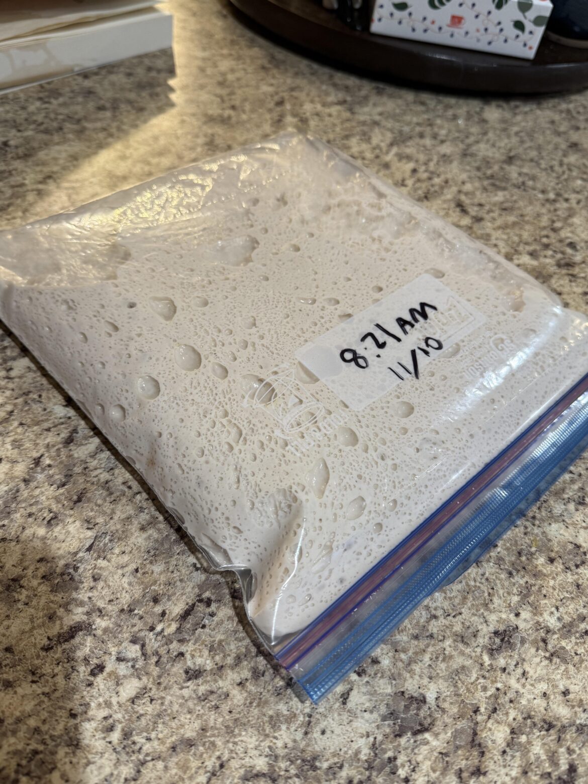 This dough has been fermenting on my countertop for almost 48 hours!