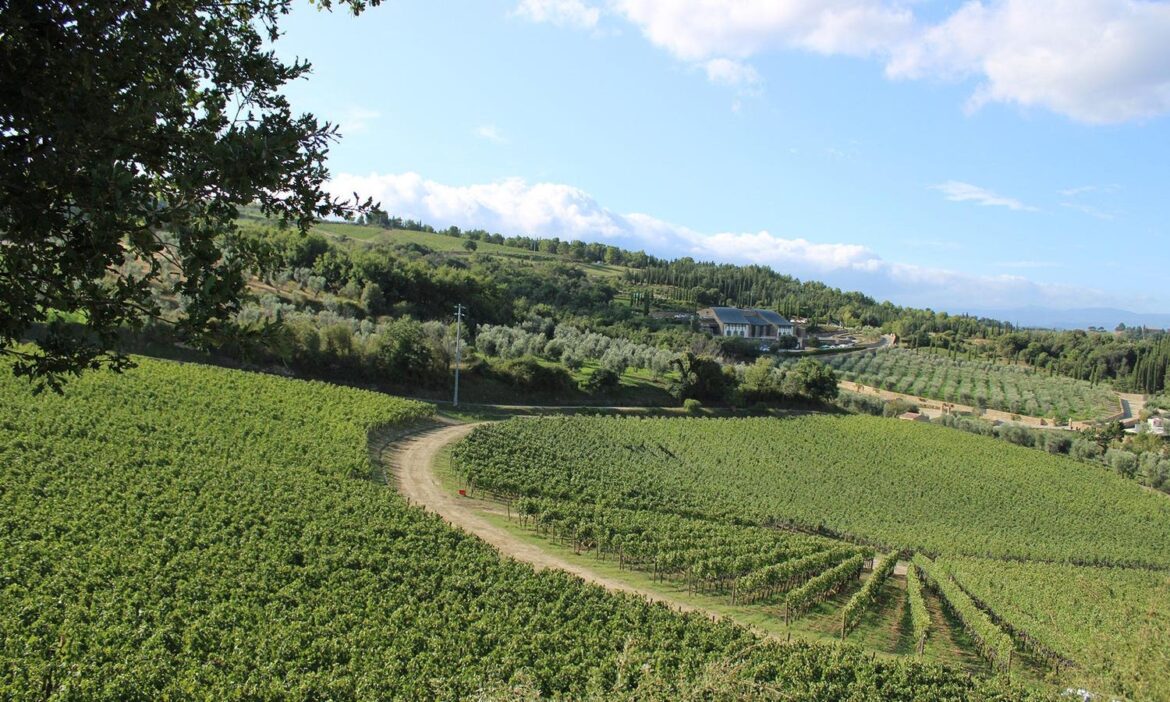 2018 Italian Reds—Underrated Excellence