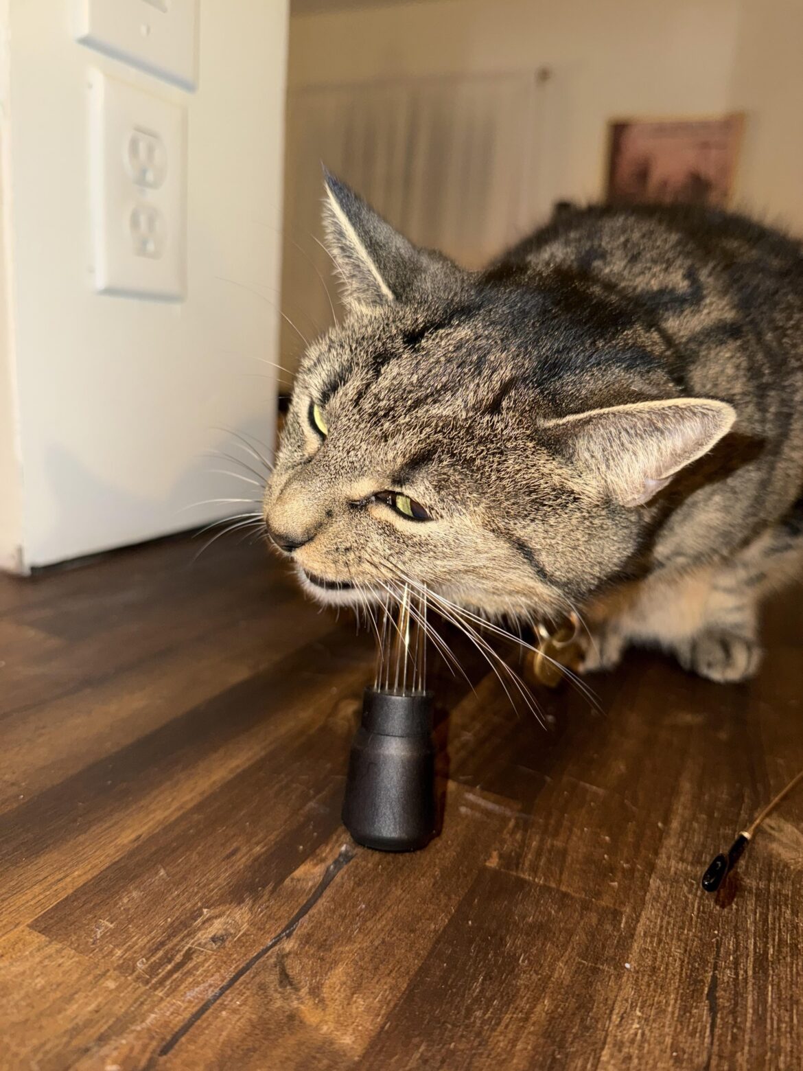 Anyone else have this problem?