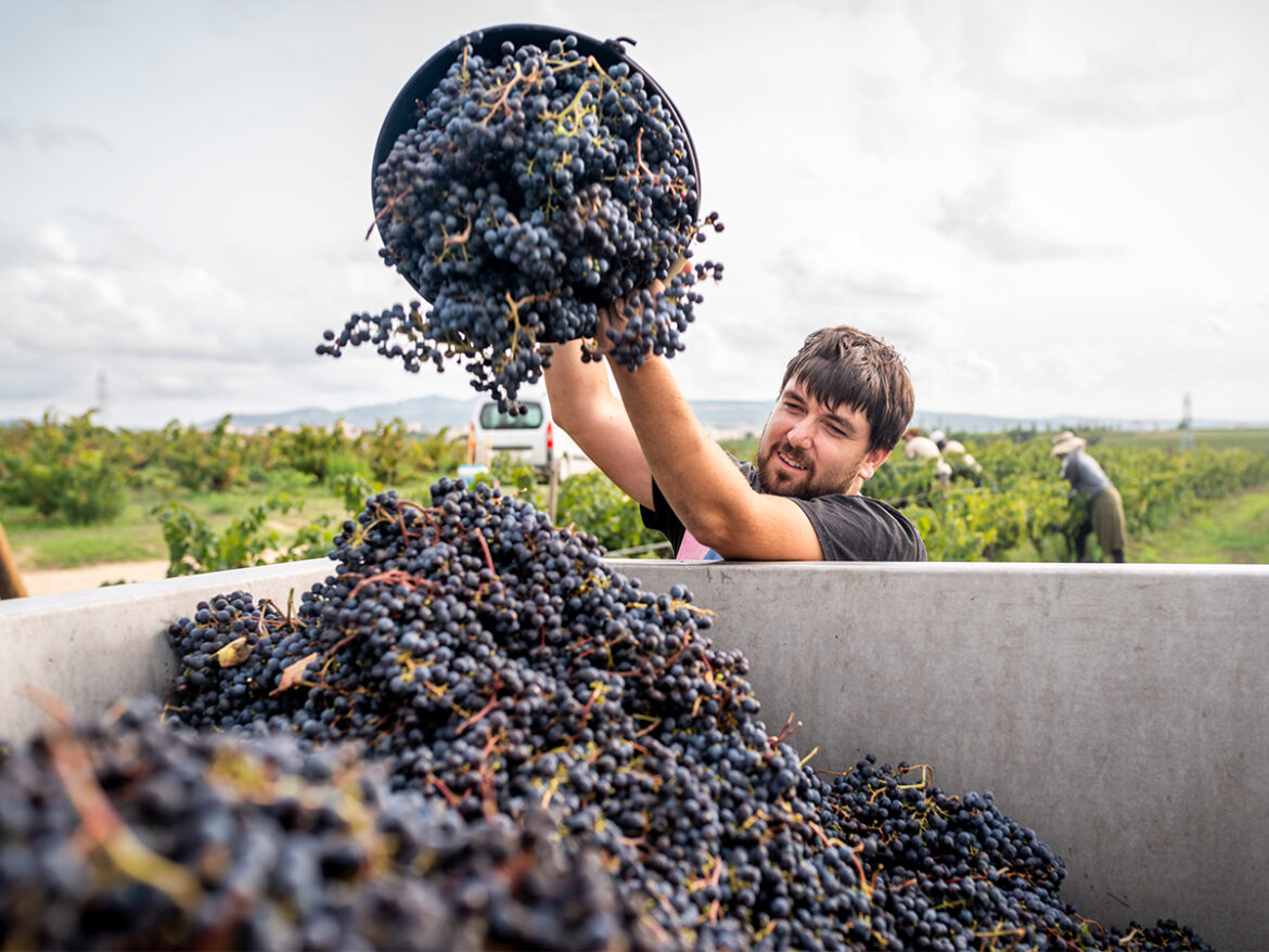 The Shout Magazine (New Zealand) The Shout Magazine (New Zealand)