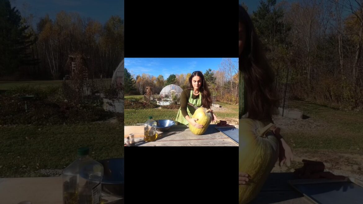 Moroccan Pumpkin Salad with craisins and walnuts #squash #pumpkin #moroccan #salad #healthy #walnuts