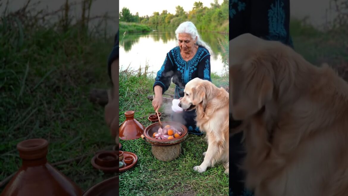 Moroccan Grandma & Grandpa with Dog Cooking Tagine on a River Boat” #food #travel Moroccan Grandma & Grandpa with Dog Cooking Tagine on a River Boat” #food #travel