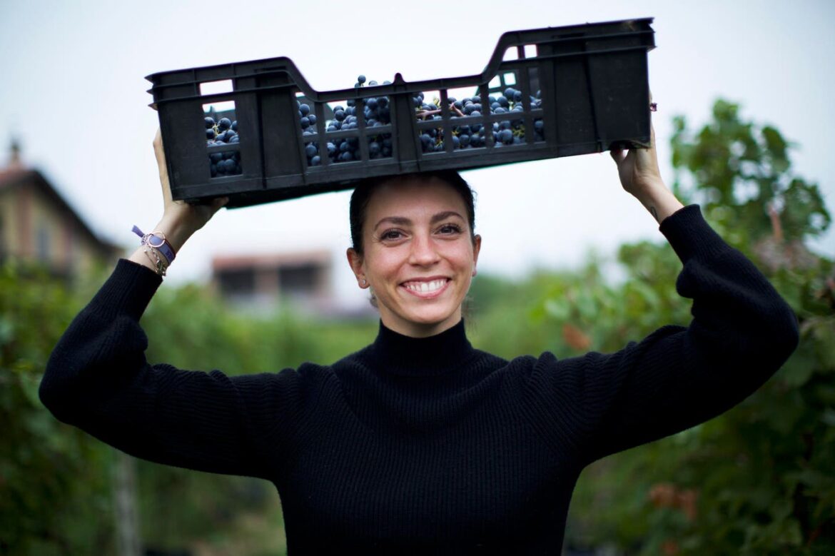 An Ambassador Of Valtenesi Italian Rose Wines An Ambassador Of Valtenesi Italian Rose Wines