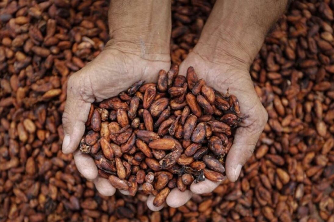 Nutella combines select hazelnuts, African cocoa, and refined palm oil in a globally controlled recipe, uniting tradition, technology, and quality.