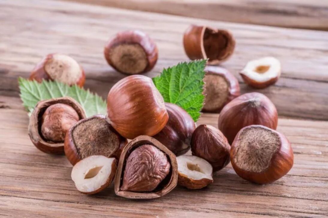 Nutella combines select hazelnuts, African cocoa, and refined palm oil in a globally controlled recipe, uniting tradition, technology, and quality.