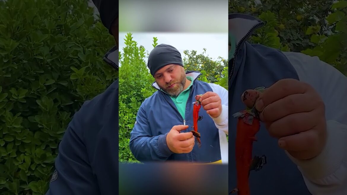 Fish Kebab Broth – Smoky, Juicy & Full of Flavor!