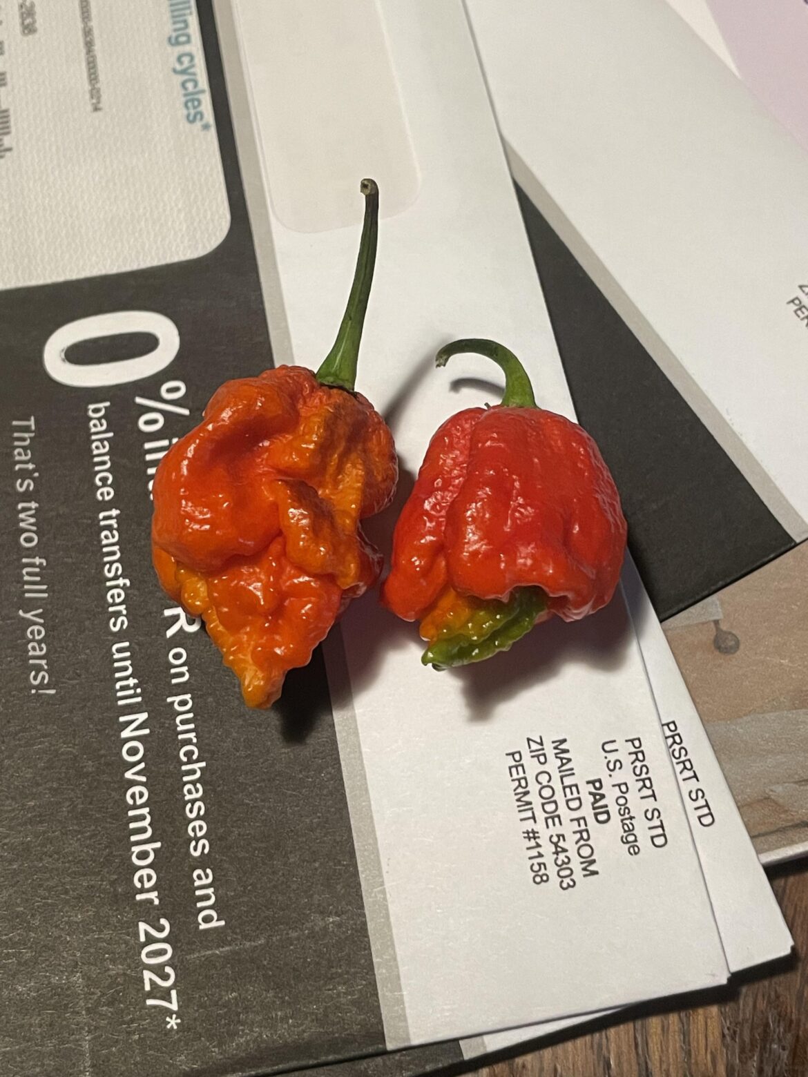 What kind of pepper , scorpion ?