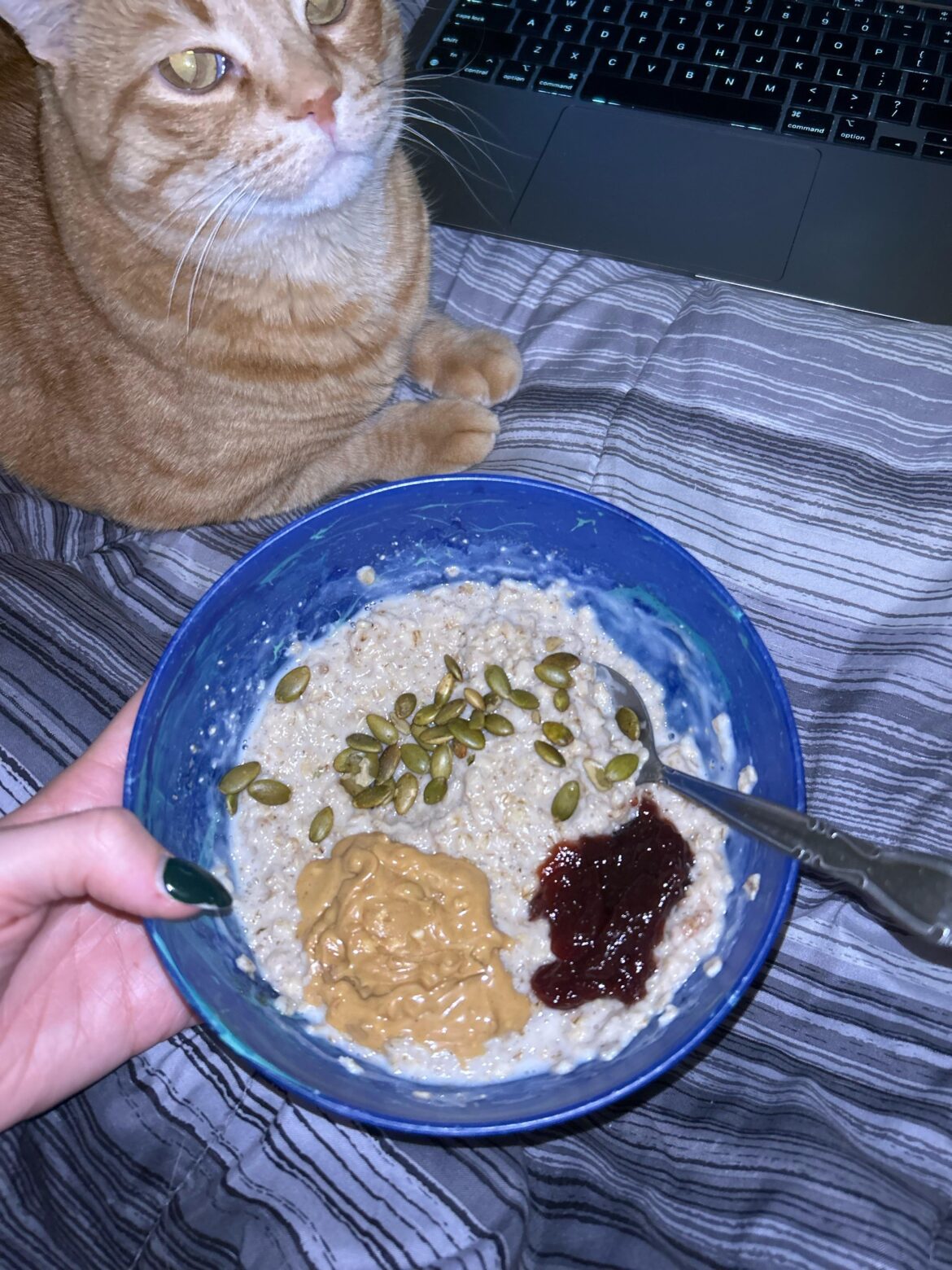 Found out how to cook oats without them exploding in the microwave!