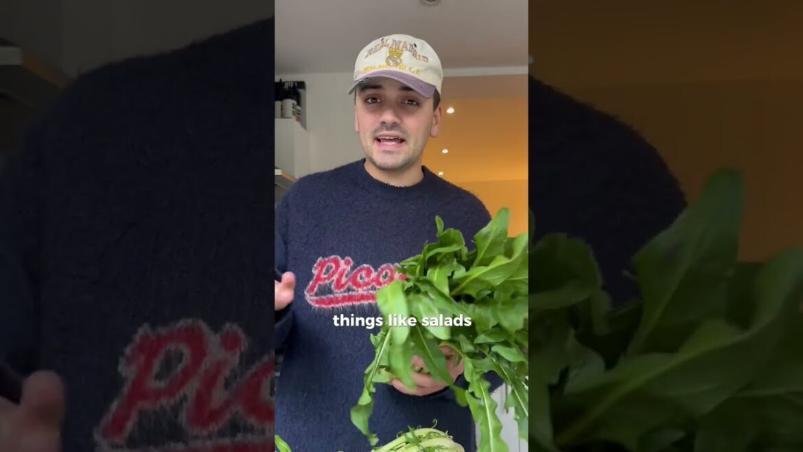 Puntarelle Alla Romana