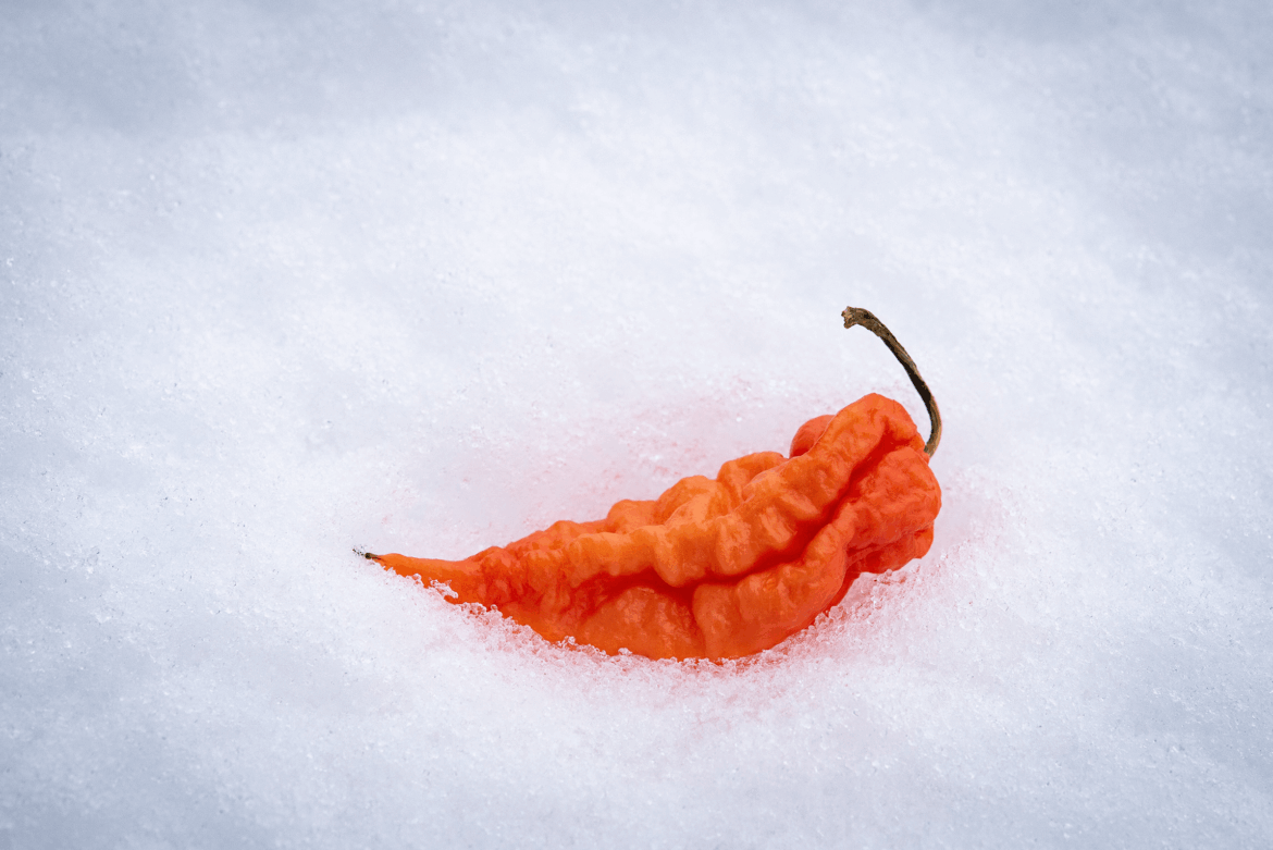 End-of-season Photo shoot