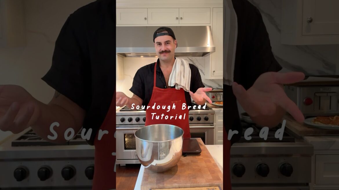Sourdough Bread 101!