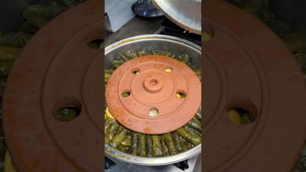 HATAYLI YAPRAK SARMA!!!!