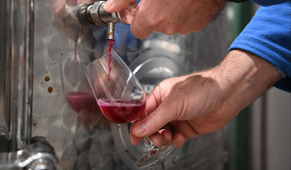 What is Beaujolais Day – And why it’s time Ireland got in on the fun