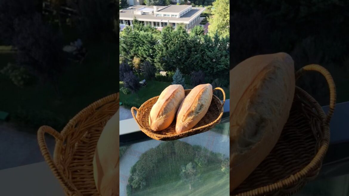 Turkish "Somun" Bread#bread #breadrecipe #ekmek #somun #baking #homemade #shorts #turkishbread