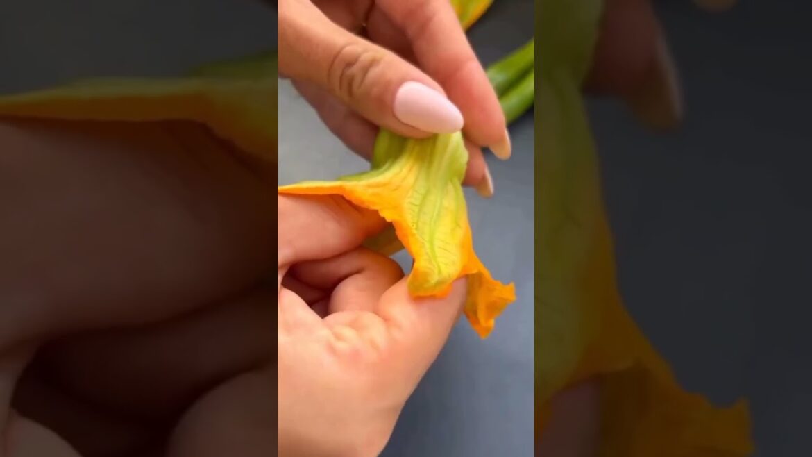 stuffed zucchini flower #zucchini #zucchinirecipe #stuffed #stuffedzucchini #cooking