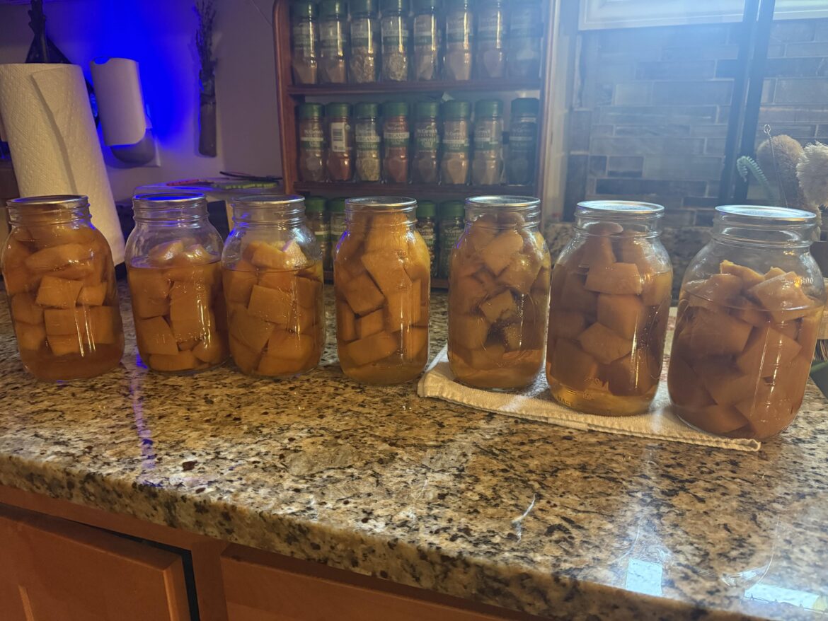 Just canned our pumpkin from the garden. First time pressure canning. Does this look.. right? Why are some floating and others are sitting at the bottom?