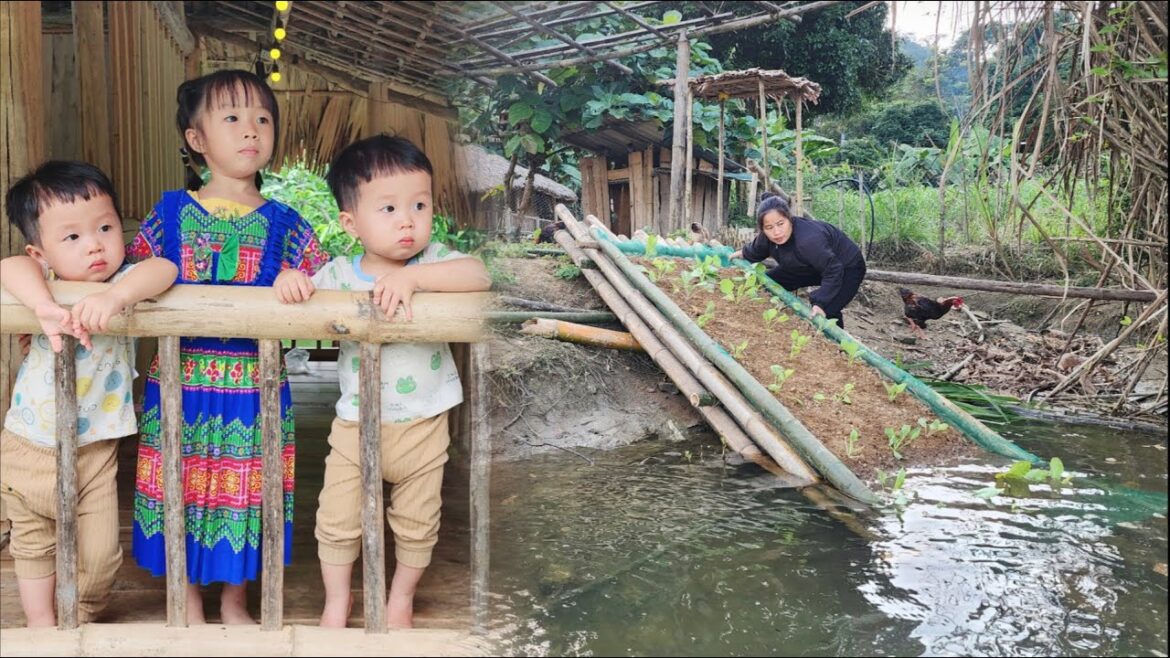 Single Mother - Building a Floating Vegetable Garden on the River | Ly tieu tieu